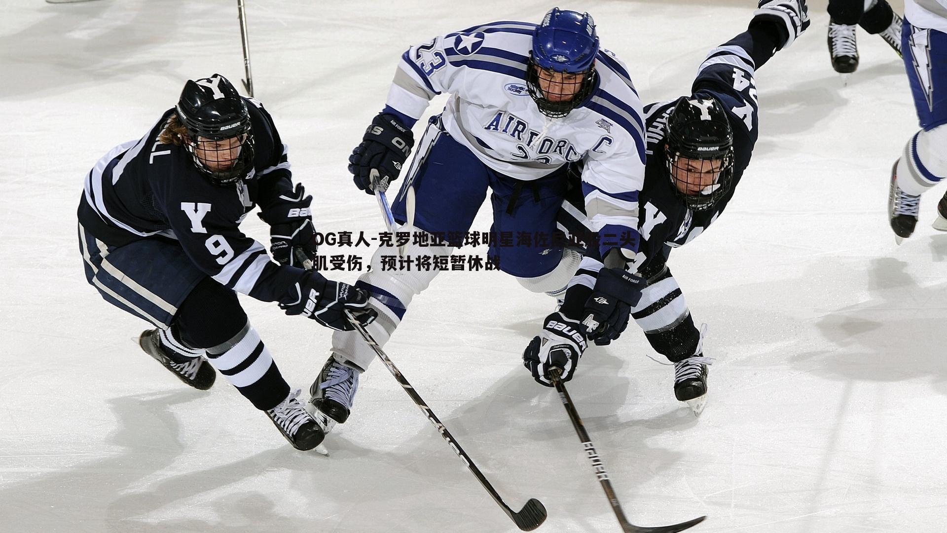 克罗地亚篮球明星海佐尼亚股二头肌受伤,预计将短暂休战