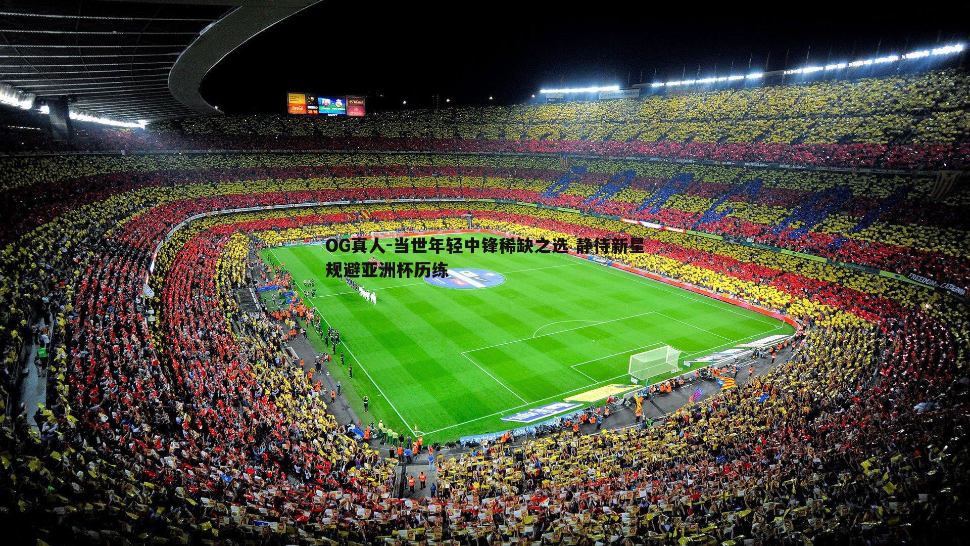 当世年轻中锋稀缺之选 静待新星规避亚洲杯历练